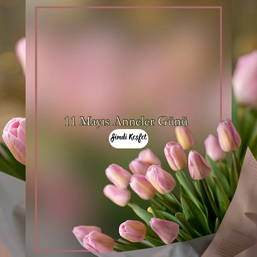 sliderImage