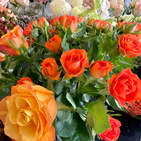 https://www.shalimarfleurs.com/shalimar-in-hikayesi