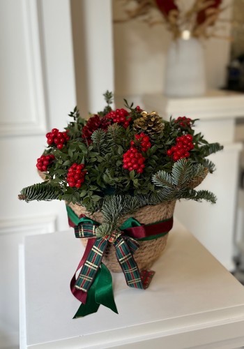 Sepette Kokina Yılbaşı Çiçeği