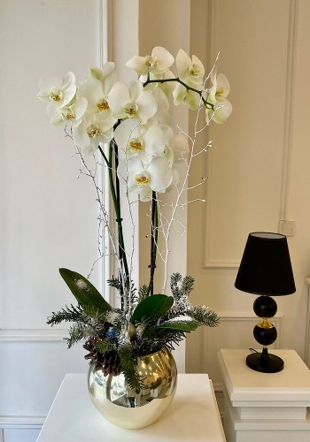 2 Dallı Yılbaşı Beyaz Orkide